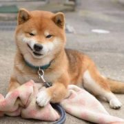 相信你也害怕遇到這幾種人吧？