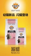 奧丁精品幼貓糧閃耀登場！?。?></div>
                <div>
                    <h2>奧丁精品幼貓糧閃耀登場?。?！</h2>
                    <div><span>2019-06-27

</span><span>查看更多</span></div>
                </div>
            </a><li>
             <a href=