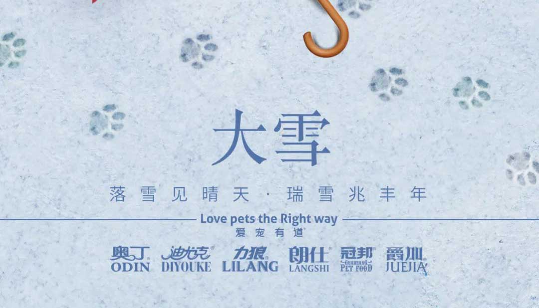大雪丨雪落知寒意 久伴見初心！