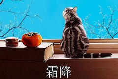 霜降丨縱然霜華盡染，心中美好如初