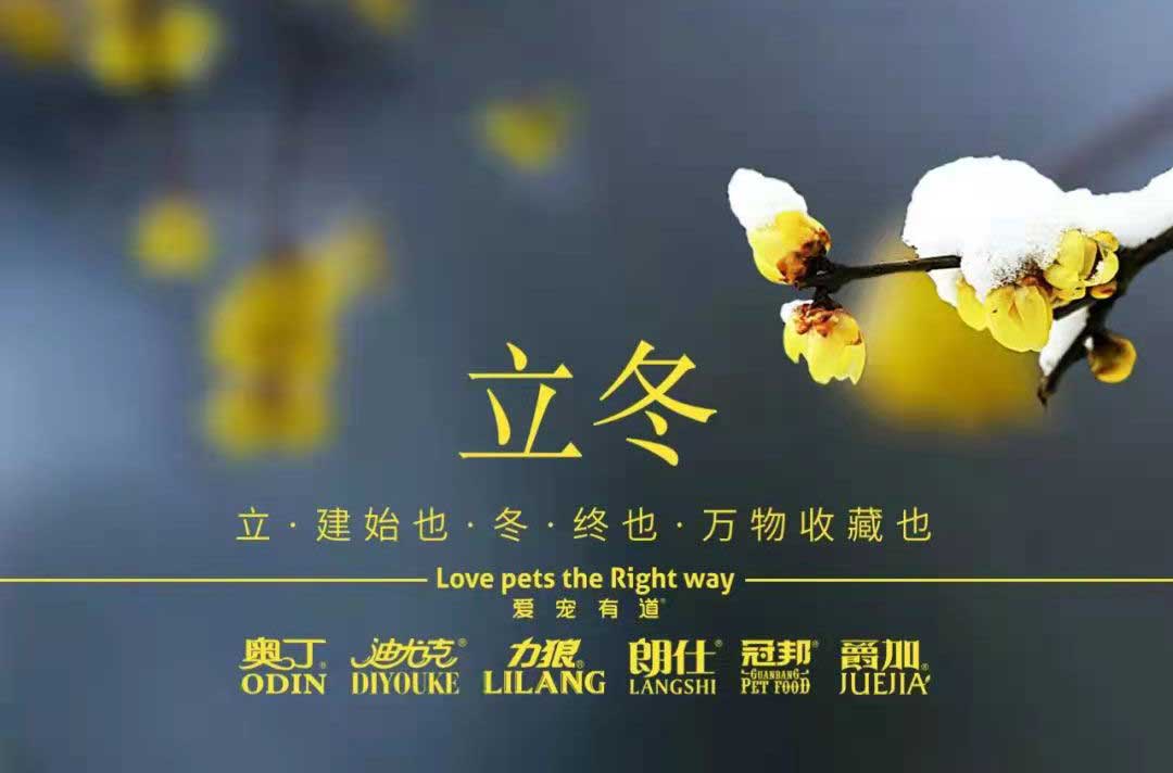 立冬丨冬寒初始，情暖愈濃